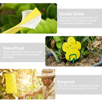 Fabriek Directe Gele Fruitvlieg Insect Sticker Trap Board Sterke Lijm Effen Plastic Milieuvriendelijk