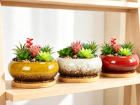 Grandes jardinières en céramique pour plantes succulentes, pot à bonsaï avec plateaux, jardinières réactives peu profondes rondes de 7,3 pouces pour plantes d'intérieur, cactus, fleurs