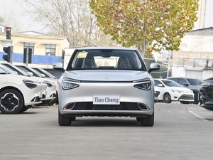 Nouvelles voitures TCCH Dongfeng NANO 01 2026 LHD Véhicules à énergie nouvelle 330 km Voitures électriques automatiques - Product Image 2