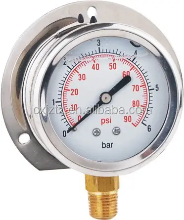 HUBEN 4 Inch Bottom Connection Stainless Steel Flange Type Pressure Gauges With Bayonet Ring
