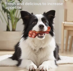 Mode PP Imitatie Bot Hondenspeelgoed Ecologisch & Interactief Kauwbestendig voor Middelgrote Honden Tandjes & Spelen - Product Image 3