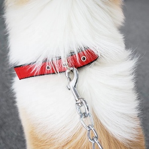 Collier de cou du fabricant d'animaux de compagnie PP Sangle Doublure intérieure Polypropylène Mousse pour animaux de compagnie Collier de chien Couvre-cou <span class=keywords><strong>Traction</strong></span> - Product Image 2
