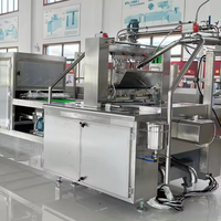 Ligne de production de bonbons gélifiés 3D aux fruits, très demandée, pour la fabrication de bonbons gélifiés juteux, vitaminés, multivitaminés, aromatisés aux fruits, et de bonbons gélifiés 3D.