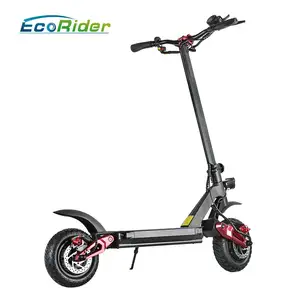 EcoRider Swift 成人电动折叠滑板车，双电机后轮驱动越野电动滑板车
