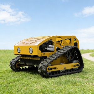 Produits les plus vendus Livraison gratuite Robot télécommandé Tondeuse à gazon automatique Sans fil Quatre temps Petite tondeuse agricole - Product Image 3