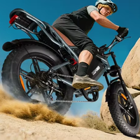 Vélo électrique à double moteur 3000W, VTT électrique, batterie lithium, vélo électrique pour adulte, vente en gros d'usine