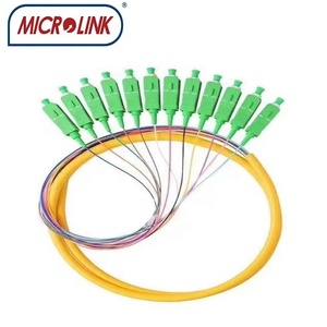 Fibra óptica SC UPC APC modo único G652D G657A 0,9mm 2mm 3mm OS2 fo12 fibra óptica Pigtail SC 12 Core fibra pigtail - Product Image 6