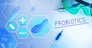 AMULYN Poudre de probiotiques lyophilisés Lactobacillus Acidophilus - Product Image 3