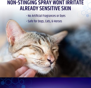 Spray de Hidrocortisona para Perros y Gatos, Precio de Fábrica OEM, Alivio para Puntos Calientes, Alergias y <span class=keywords><strong>Dermatitis</strong></span>, Afecciones de la Piel - Product Image 4