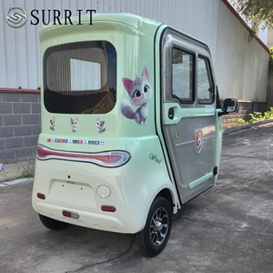 Tricycle électrique SURRIT à cabine fermée, 2 places, 48V 501-800W, trike pour adultes, vert menthe avec décorations de dessins animés - Product Image 6