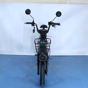 Vélo Urbain Biplace Personnalisable Léger 48V Sans Balais, Exportation Directe Usine, Modèle A-Small Léger - Product Image 4