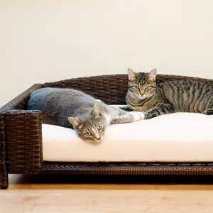 籐ウィロープラスチックペット猫犬のベッドとペット家具屋内または屋外