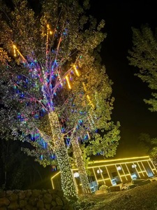 Guirlande lumineuse LED connectable pour extérieur, Noël, 10m, IP67, étanche, guirlande lumineuse LED suspendue avec décorations - Product Image 5