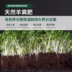 5 - Product Image 4