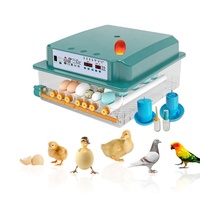 Incubateur à œufs de poulet à vente chaude, capacité de 36 œufs, machine d'éclosion avec moteur de retournement, incubateur entièrement automatique à vendre au Ghana