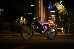 Motocicleta Todoterreno de Alta Potencia, Batería de 72V 40Ah, Controlador de Onda Sinusoidal LPMSM, 90km/h, Chongqing - Product Image 4
