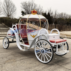 Preciosa Carruaje Eléctrica Real de Princesa Calabaza - Para Bodas al Aire Libre y Turismo, Certificación CE, Alta Calidad, Directo de Fábrica XCEGO - Product Image 4