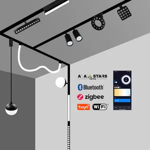 Nieuwe Moderne Winkel Focus Spot Light Magneet Rail Systeem 90-265V Aluminium Cob Lineaire Magnetische Led Track Verlichting