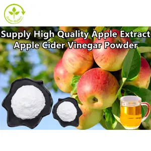 Abastecimento de vinagre natural puro extrato de fruta da apple, pó de vinagre