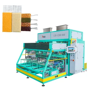 0.25-5KG Brick Shape Fully Automatic Vacuum Packing Machine for granule 800-1,200bags/h Rice Grain Animal Feed