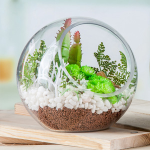 <span class=keywords><strong>Vaso</strong></span> di vetro sferico trasparente moderno <span class=keywords><strong>con</strong></span> bocca inclinata creativa copertura di fiori eterna contenitore succulento idroponico impianto - Product Image 1