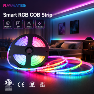 Bande lumineuse LED COB RGB IC WS2811 adressable, 720 LED, couleur de rêve, 12 mm, 24 V, haute densité, flexible, lumières LED COB FOB - Product Image 3