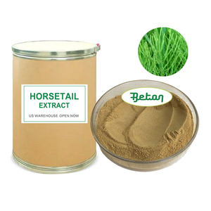 Tedarik doğal organik çim takviyesi 10:1 20:1 yüksek kaliteli Arvense özü atkuyruğu çim özü tozu - Product Image 1