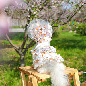 Fabricant vente en gros de chapeaux <span class=keywords><strong>Bonette</strong></span> mignons pour animaux de compagnie vêtements et robes pour chiens Monet Garden Spring Summer Tea Party - Product Image 1