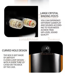 KYYSLB Nautilus Diffusore da Scaffale Passivo da 5,5 Pollici Hi-Fi, Altoparlante Domestico a 2 Canali per Audio Professionale ad Alta Fedeltà - Product Image 6