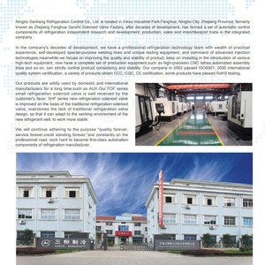 Válvula Solenoide de Alta Temperatura, Impermeable y de Ahorro de Energía, Válvula de Control de Aire y Agua Sin Calentamiento, Manual y Personalizable para Gas y Petróleo - Product Image 5