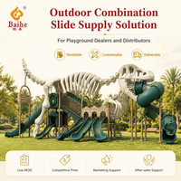 Structure d'activités géante à thème dinosaure avec toboggan tubulaire pour parcs et projets scolaires