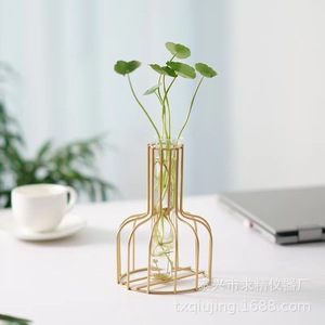 Transparent Glass Pothos Hydroponic Vase Geometric Metal Frame Desktop Plant Decoration For Living Room Or Office - Product Image 5