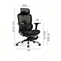 Chaise de bureau ergonomique moderne et respirante en maille de qualité supérieure avec accoudoirs 4D pour la maison, l'hôtel et le bureau scolaire