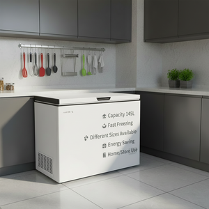 100L/200L/300L Energy Saving Chest Freezer <b>Large</b> Capacity Horizontal Deep Freezer Fast Cooling Low Noise for Africa Ener - Product Image 2