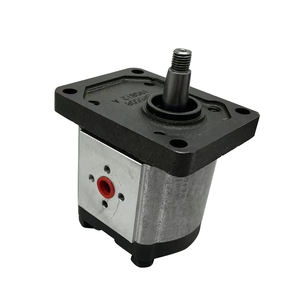 مضخة تروس هيدروليكية ALP2 من نوع ALP2-D-40 ALP2A-D-34-FG ALP2A-D-40-FG ALP2A-D-34-FG ALP2-D-34-FG ALP2-D-16-FG ALP2-D-20-FG ALP2-D-22-FG - Product Image 2