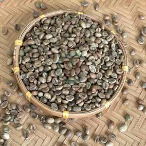 Granos de Café Robusta Vietnamita Puro y Natural, Tamaño 16 AA+, Alta Calidad, Exportación a Granel, Suministro de Fábrica, Bolsas de PP de 60 kg - Product Image 1