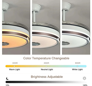 42-इंच आधुनिक इनडोर इलेक्ट्रिक छत प्रशंसक आरजीबी एलईडी लाइट रिट्रेटेबल प्रोजेक्ट इंस्टॉलेशन एसी डीसी मोटर एप्लिकेशन-नियंत्रित - Product Image 3