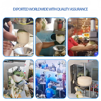 Machine à éplucher les noix de coco automatique à haute efficacité pour les noix de coco vertes fraîches