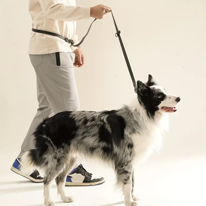 Conjunto de <span class=keywords><strong>collar</strong></span> y correa multifuncional para perros, Material de PVC impermeable, fácil de limpiar para entrenamiento de perros, Correa multifuncional para perros - Product Image 4