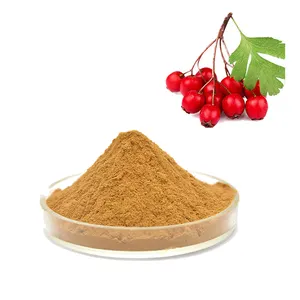 Factory price Organic hawthorn berry fruit extract Freeze Dried Hawthorn Juice Fruit Powder