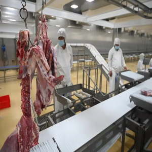 Yeni Domuz Kesim Hattı Konveyör Bantlı Mezbaha Sığır Eti Kesme Et Üretim İşleme Hattı 304 Paslanmaz Çelik - Product Image 5