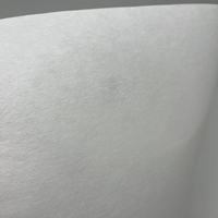 Stabilisateur de broderie entoilage 100% Polyester broderie non tissé support papier tissu broderie coupe support