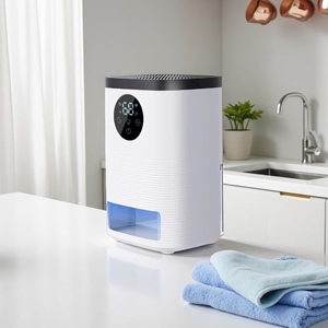 Nuovo Deumidificatore a Semiconduttore per Camera da Letto, Piccolo Essiccatore d'Aria, Rimuovi Umidità, Estrattore di Condensa, Unità Portatile Silenziosa - Product Image 1