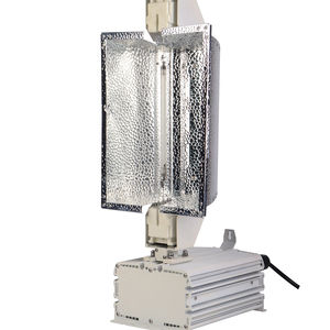 屋内植物のための高品質グローライト完全器具キット両端ナトリウムランプ380V <span class=keywords><strong>1000W</strong></span> DE HPS/MHロシア市場 - Product Image 1