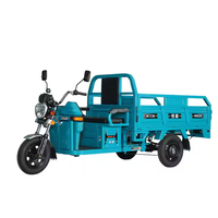Elektrische vracht-driewieler met kiepbak 1000W60V32Ah zware uitvoering 3-wiel elektrische driewieler voor goederenvervoer en stedelijk transport