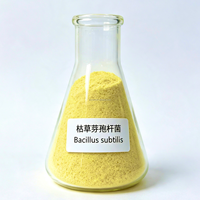 Bacillus Subtilis 100 milliards UFC/g, additif alimentaire à faible facteur anti-nutriments, enzymes pour la digestion des animaux d'élevage et de volaille