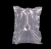 Sac gonflable de protection du fabricant facile à utiliser.