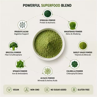 Poudre de superaliments verts quotidiens en gros OEM, saveur personnalisée, probiotiques ajoutés, poudre de boisson Super Greens pour marque privée