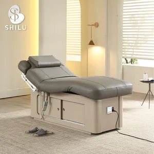 2024 Nieuwe Ontwerp Groothandel Multifunctionele Spa Beauty Bed Dubbele Motor Elektrische De Professionnel Massagetafel Dmc4