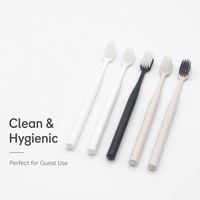 Lot de brosses à dents jetables avec dentifrice pour hôtels et distributeurs de produits hôteliers